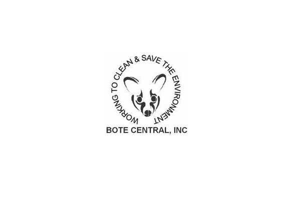 Bote Central
